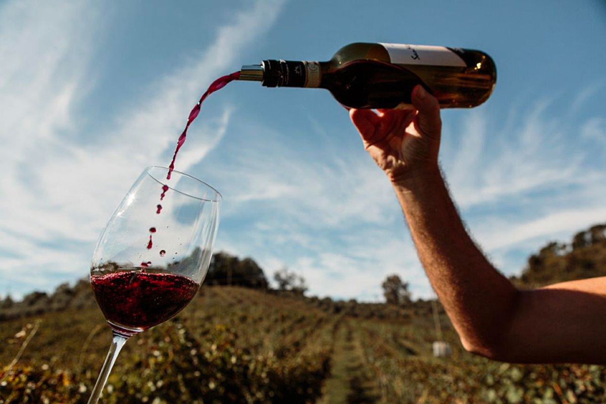 bottiglia di vino che viene versata in un bicchiere all'aperto