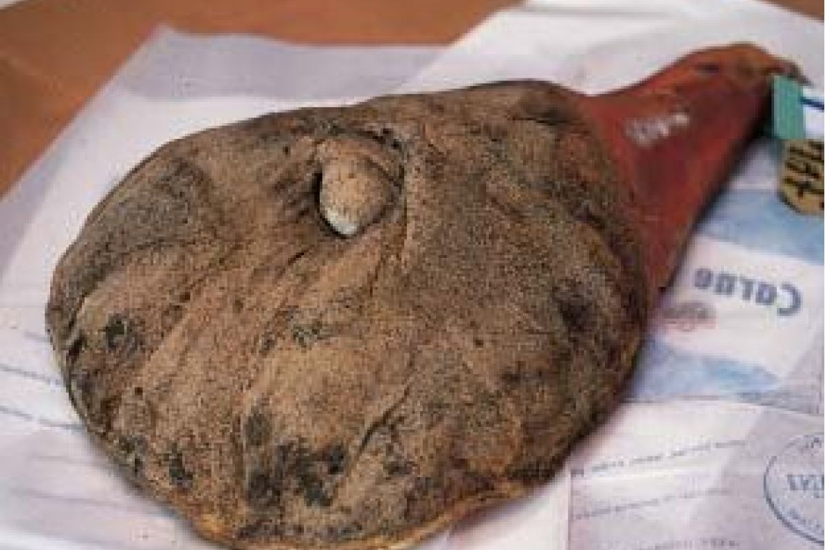 Spalla di maiale pisana