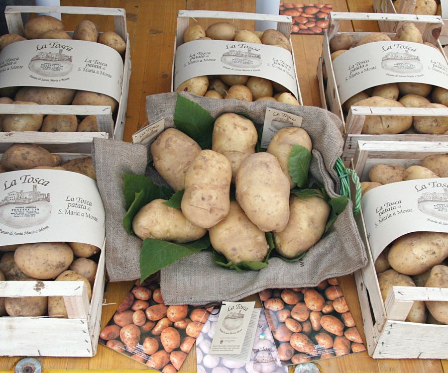 Patata di Santa Maria a Monte