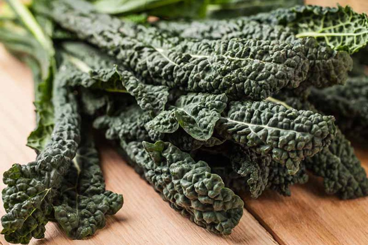 Cavolo riccio nero di Lucca o braschetta