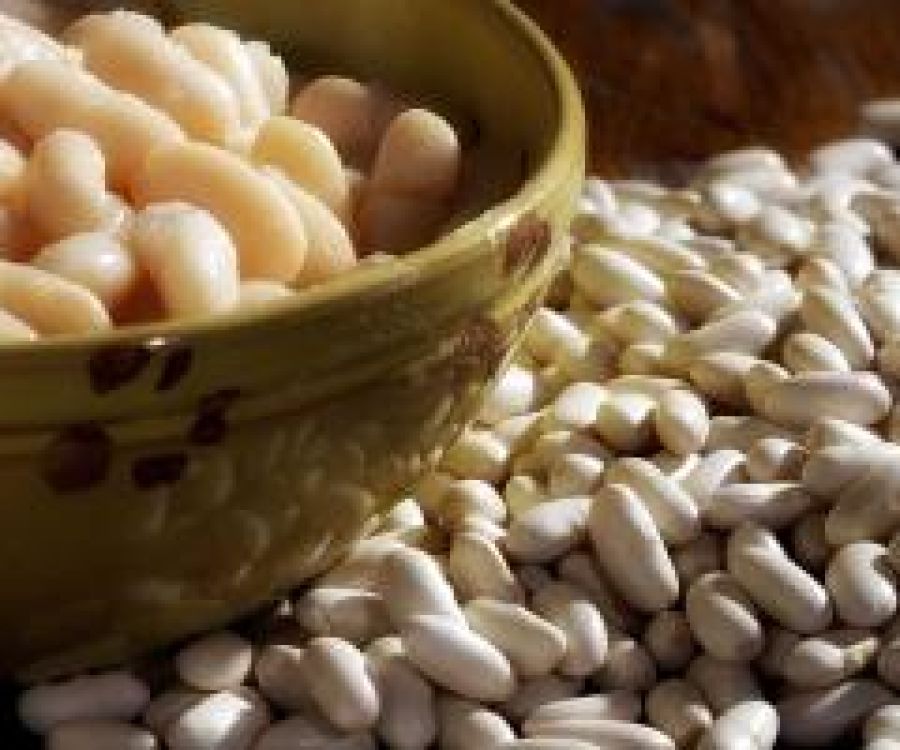 Fagiolo cannellino di San Ginese