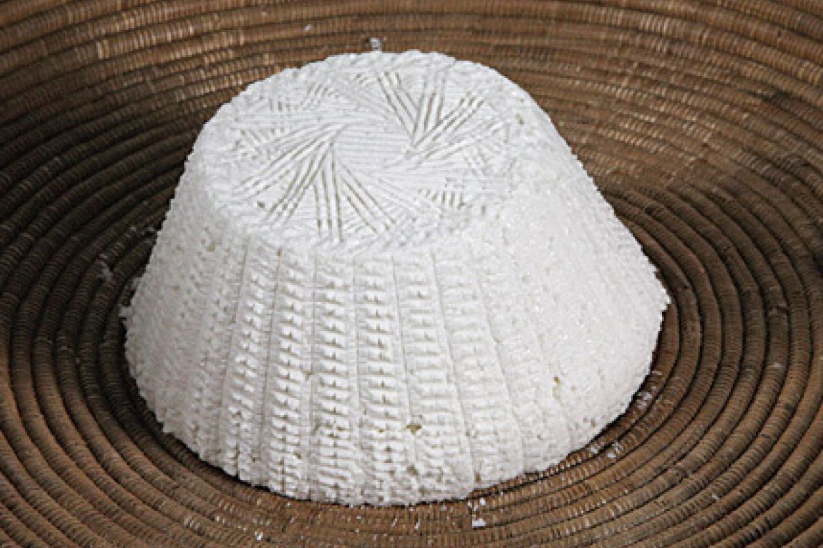 Ricotta di pecora massese