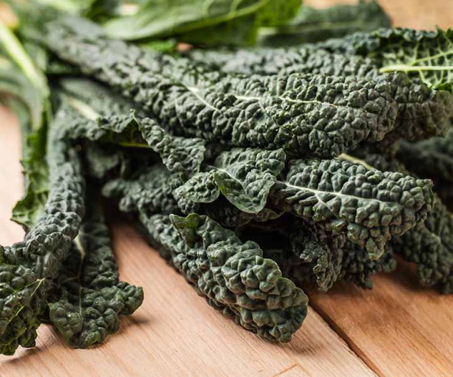 Cavolo riccio nero di Lucca o braschetta